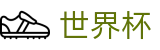 FIFA 2026世界杯 | 世界杯足彩APP · 2026世界杯安全购彩